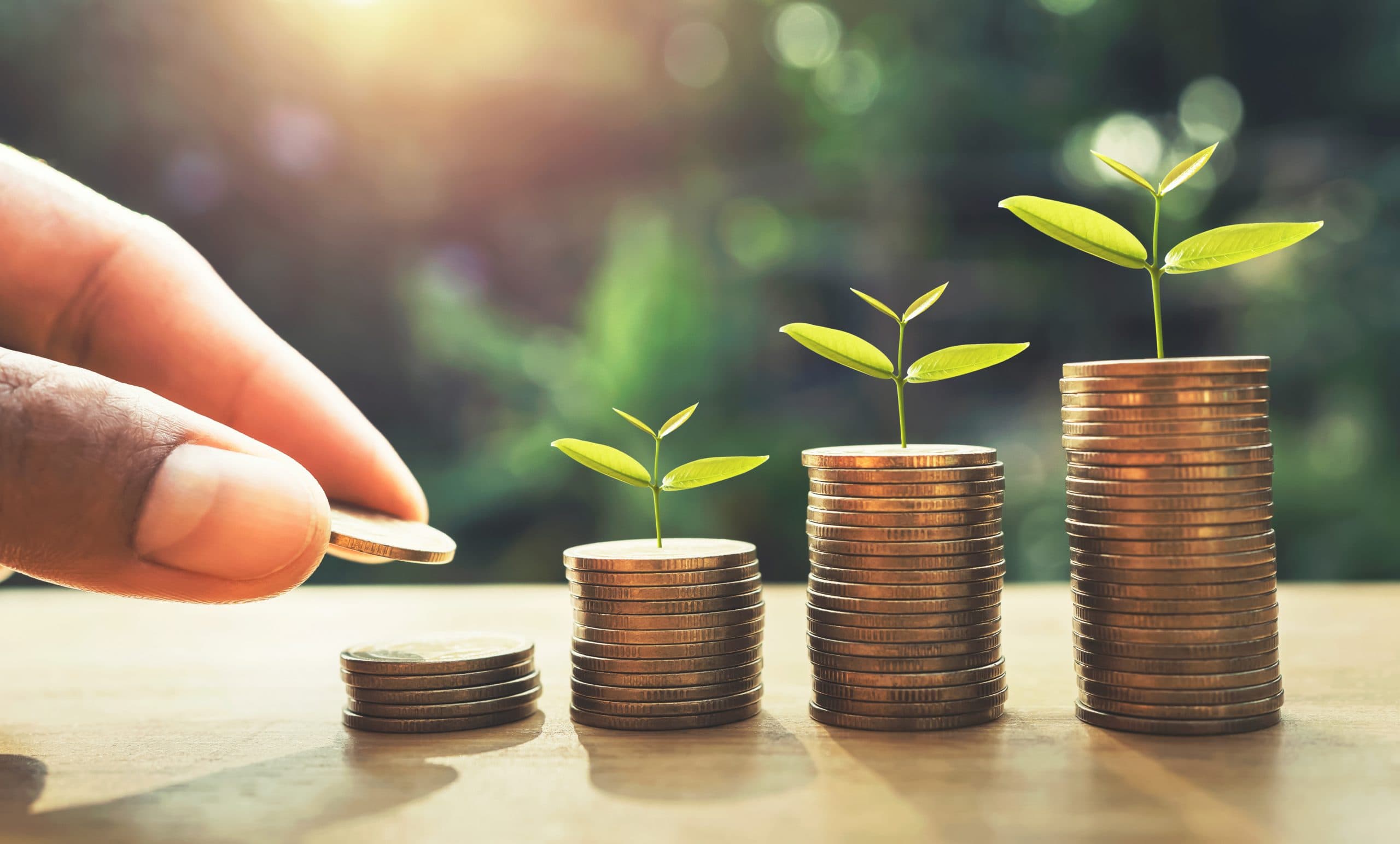 Determine Extra Payment Amount(s)