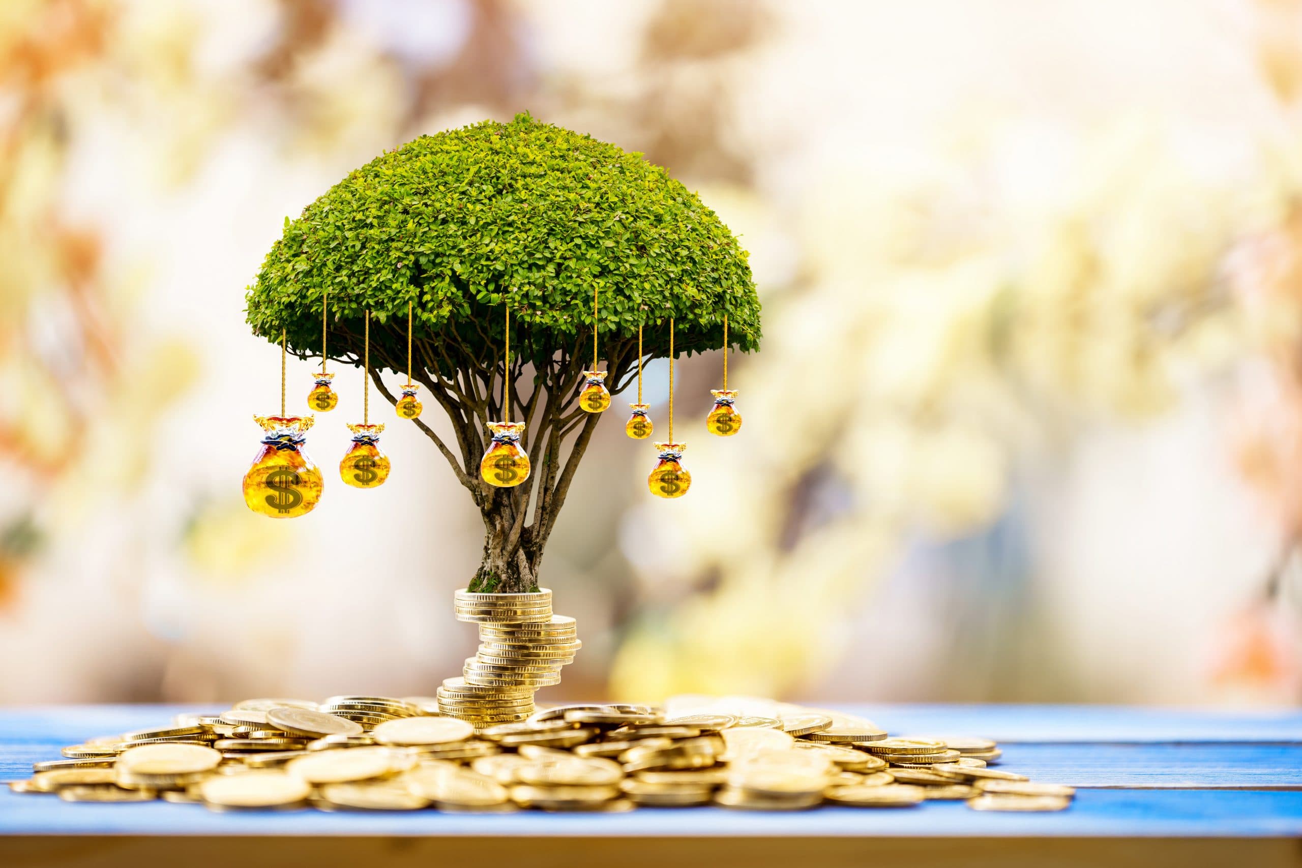 How to Choose Your Retirement Account Type