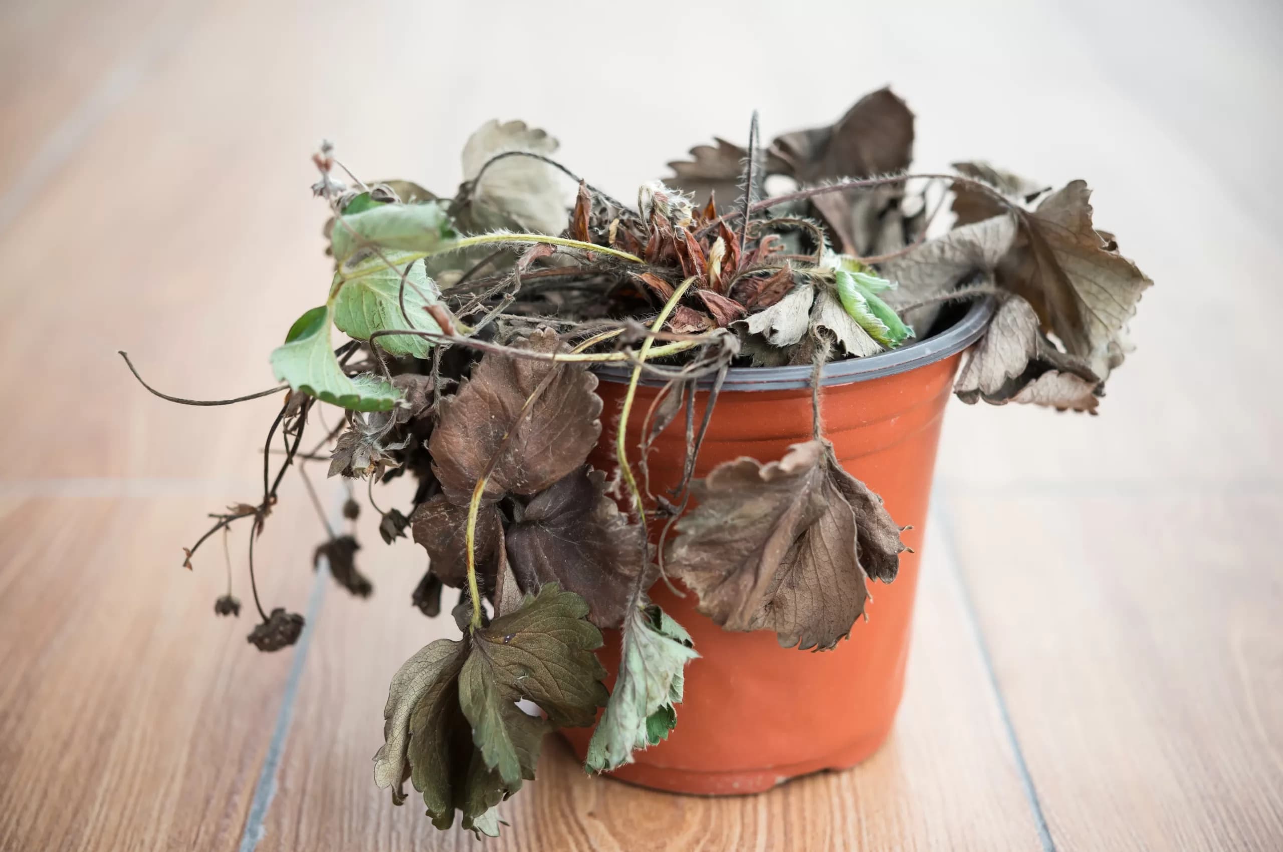Nurture Your Money Routine
