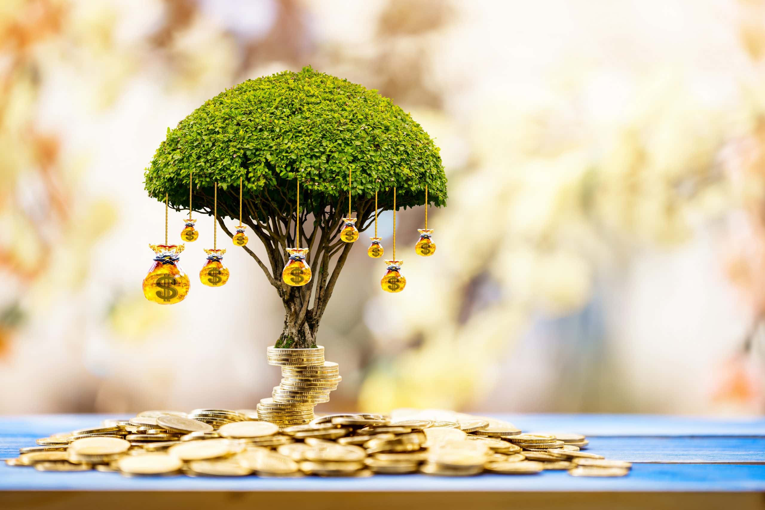 How to Choose Your Retirement Account Type