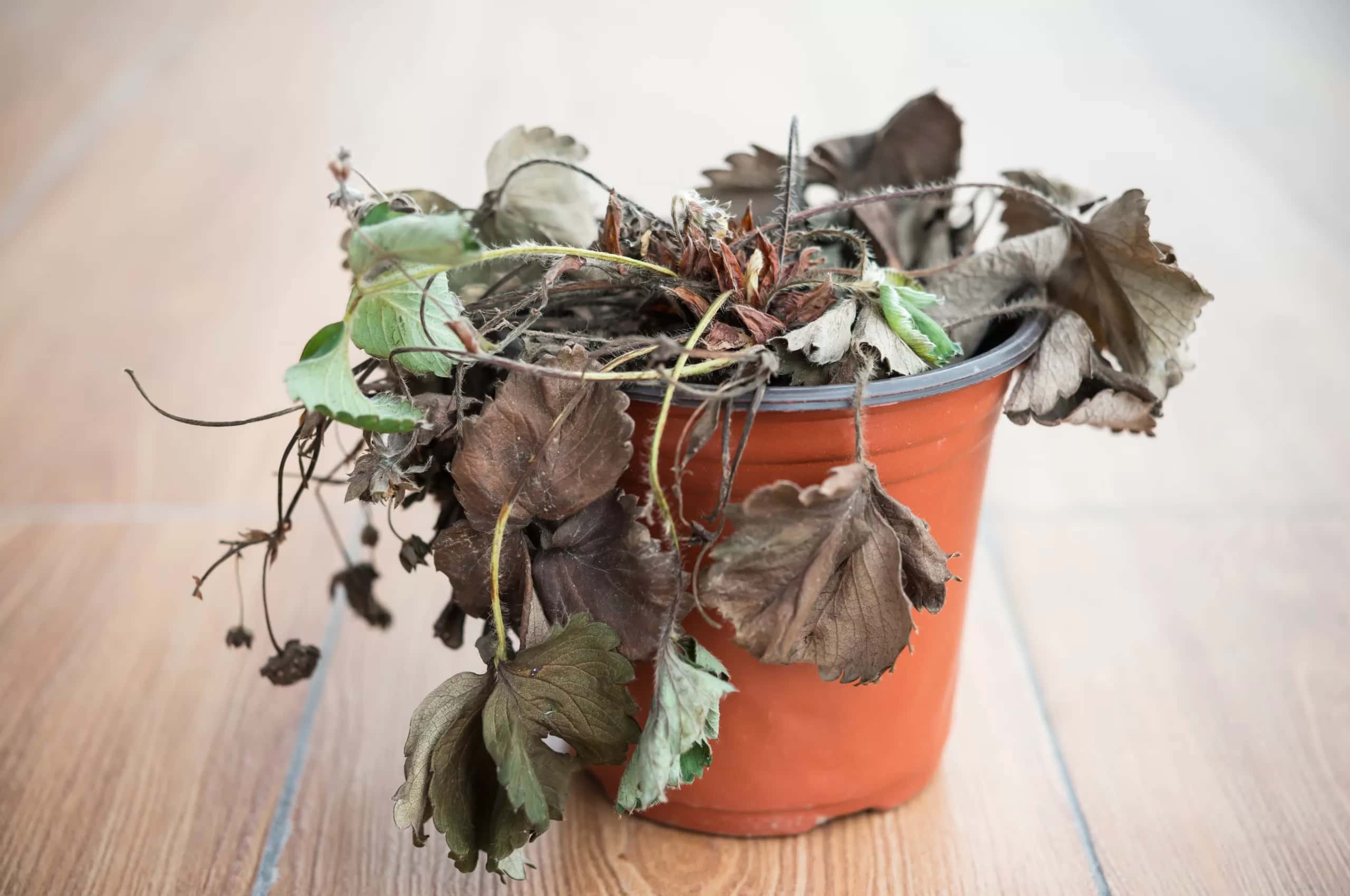 Nurture Your Money Routine